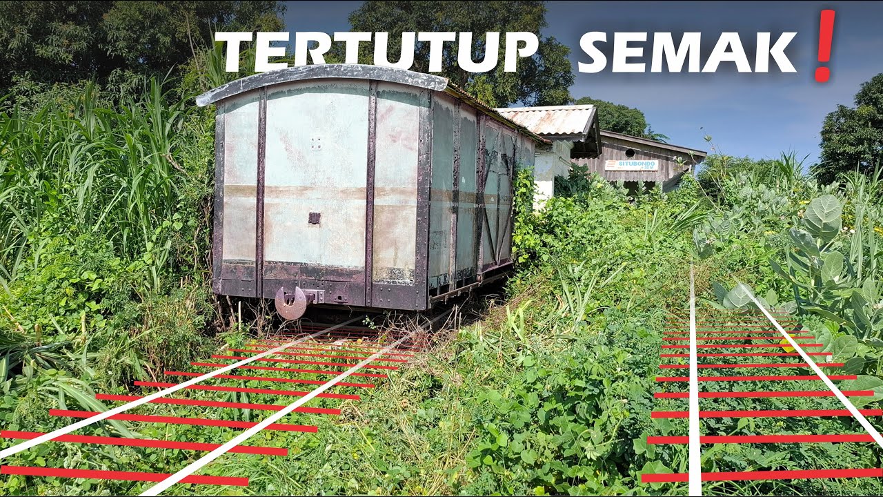 Gerbong & jalur di Stasiun Mati Situbondo kini semakin tertutup semak❗️