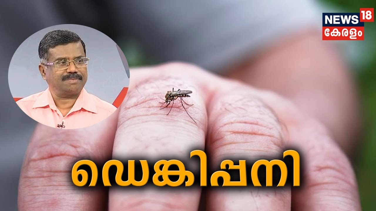 Dr Q: ഡെങ്കിപ്പനി | Dengue Fever | 24th September 2019