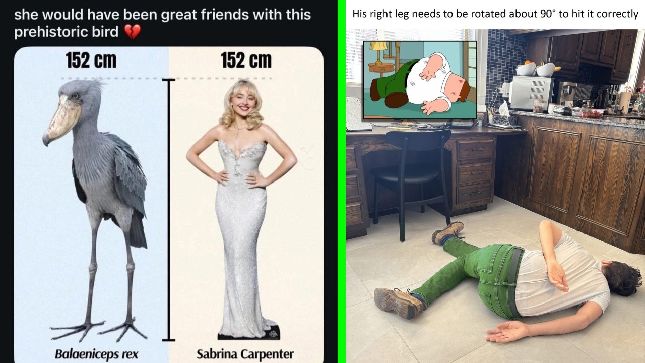 Funny Memes 160 | She would have been great friends with this prehistoric bird