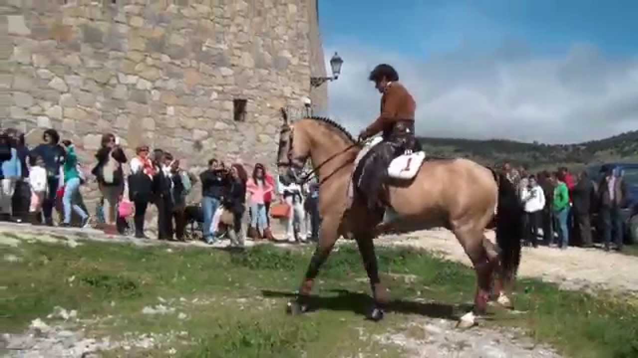 DIEGO VENTURA EN VILLALUENGA DEL ROSARIO.