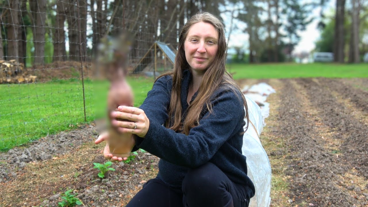 Plant these NOW for a Year Long Abundance