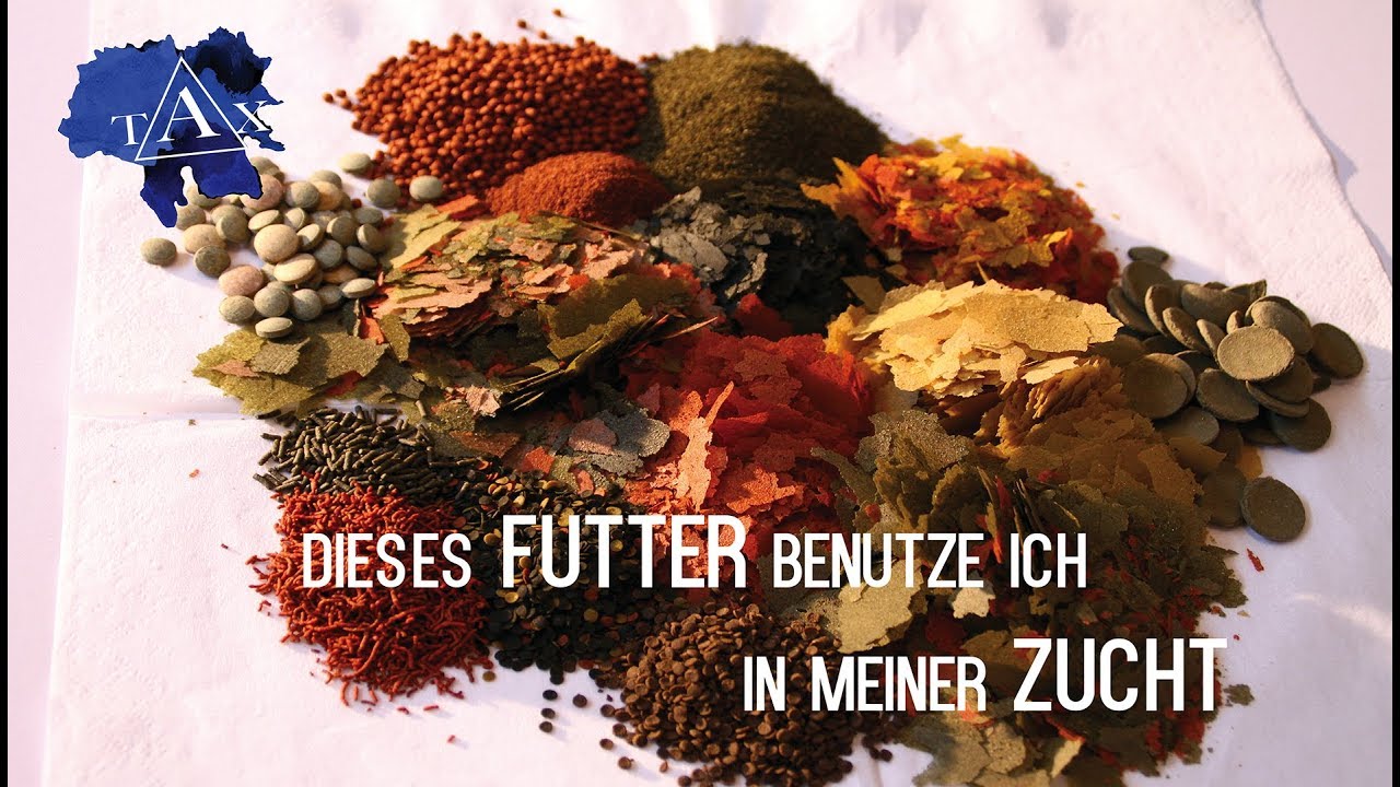 Dieses FUTTER  benutze ich in meiner ZUCHT! /TAX