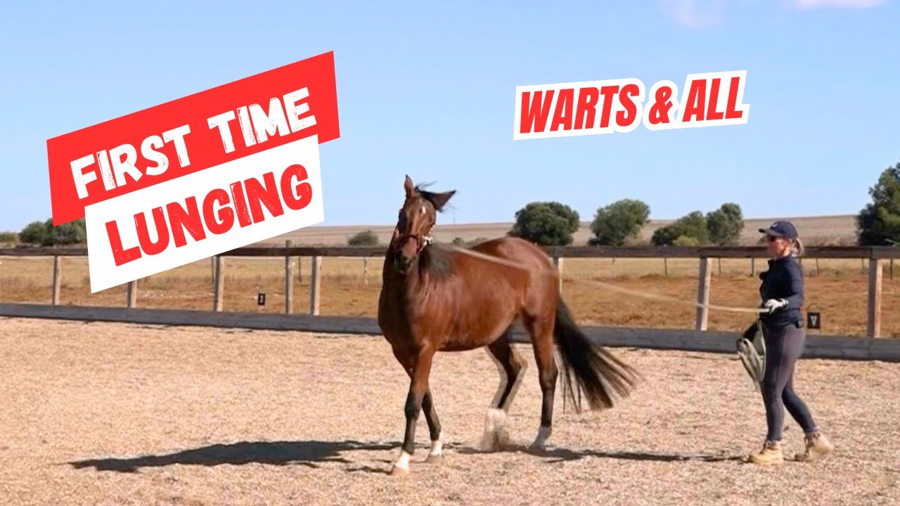 Get Your Horse to Lunge in Minutes NOT Hours