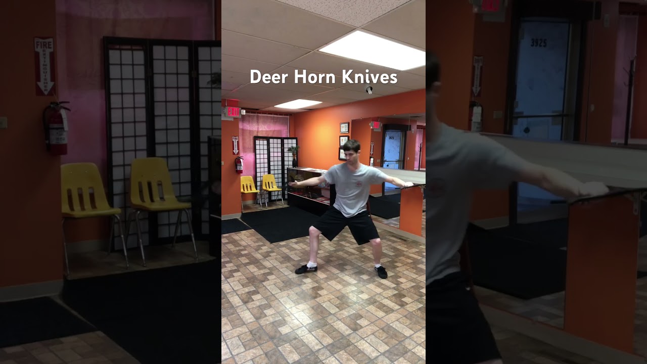Personal Practice: Deer Horn Knives #chinesemartialarts #martialarts #traditionalkungfu