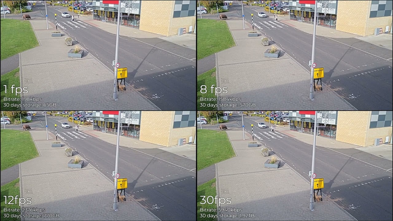 What is the correct frame rate for your CCTV system?