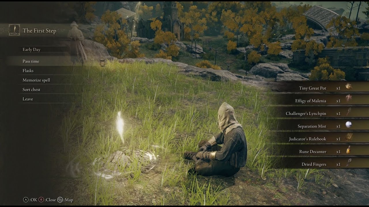 ELDEN RING Seamless Co-op + Randomizer Guide | Jan 27, 2025