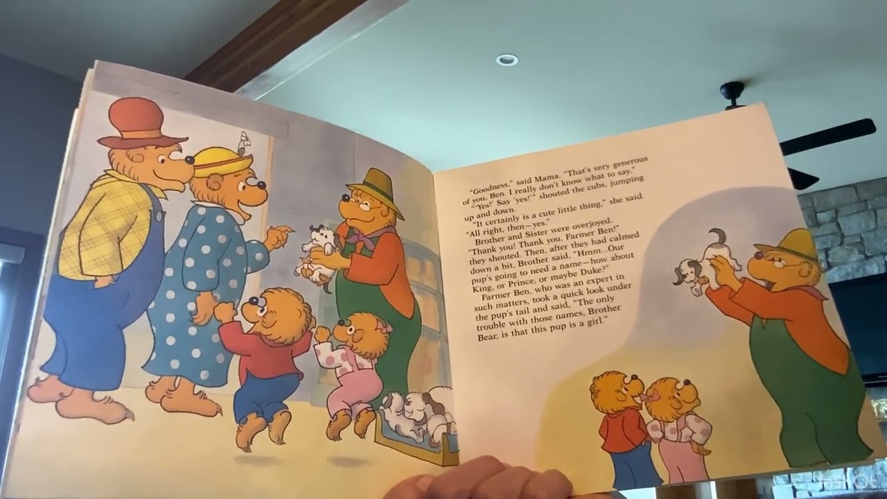 The Berenstain Bears Trouble with Pets