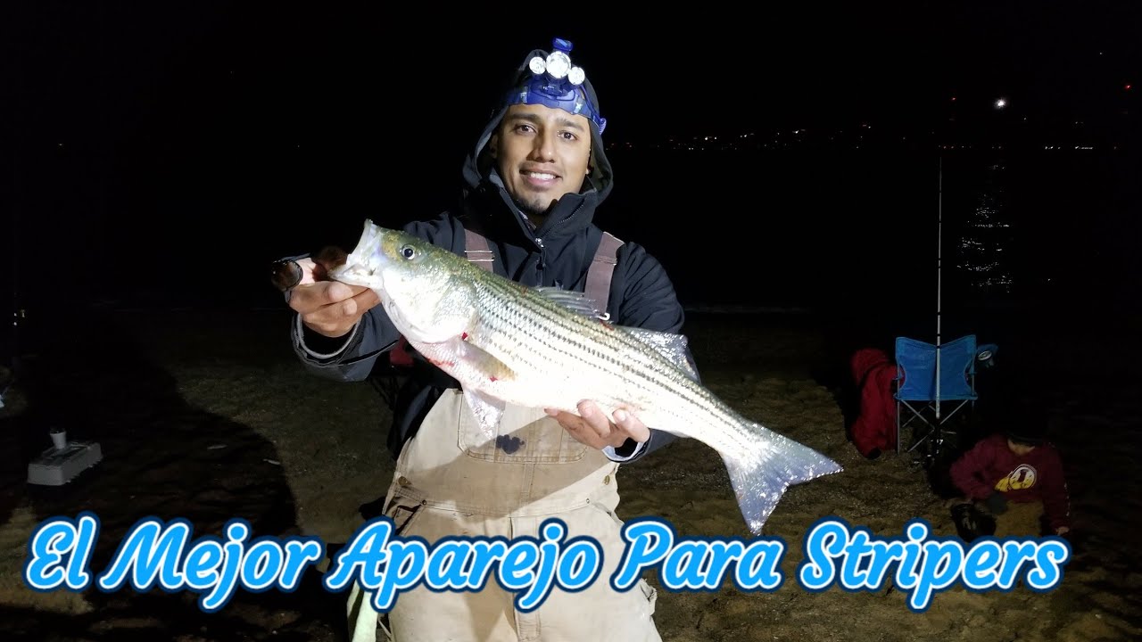 Como Hacer Un Aparejo Para Pescar Striped Bass/ How To Make a Striped Bass Rig