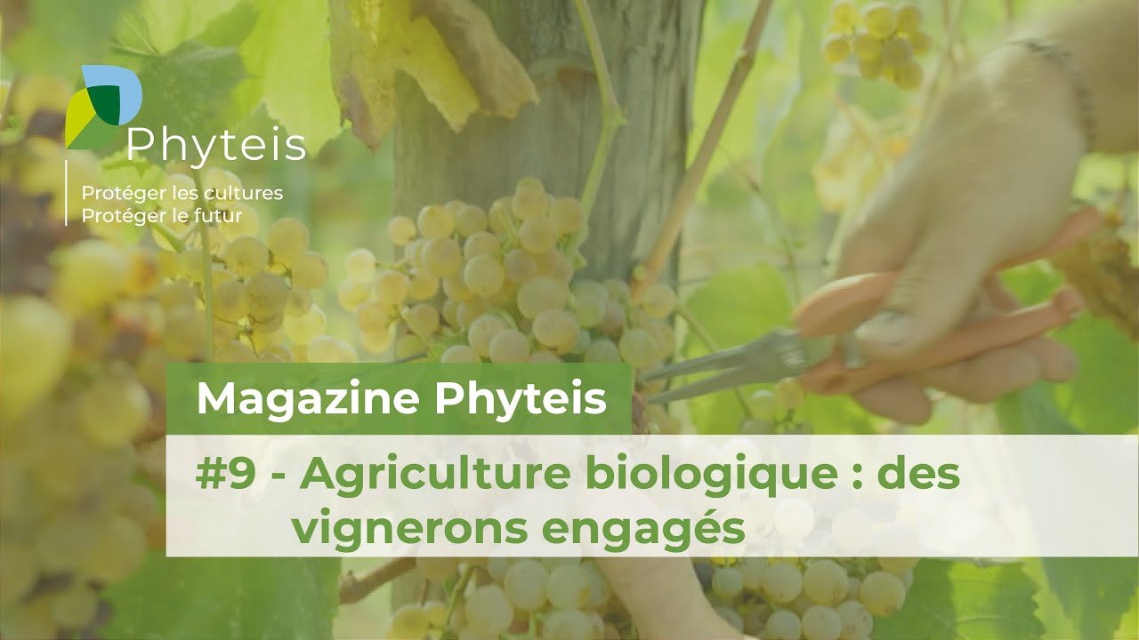 Le Magazine Phyteis n°9 - Agriculture biologique : des vignerons engagés