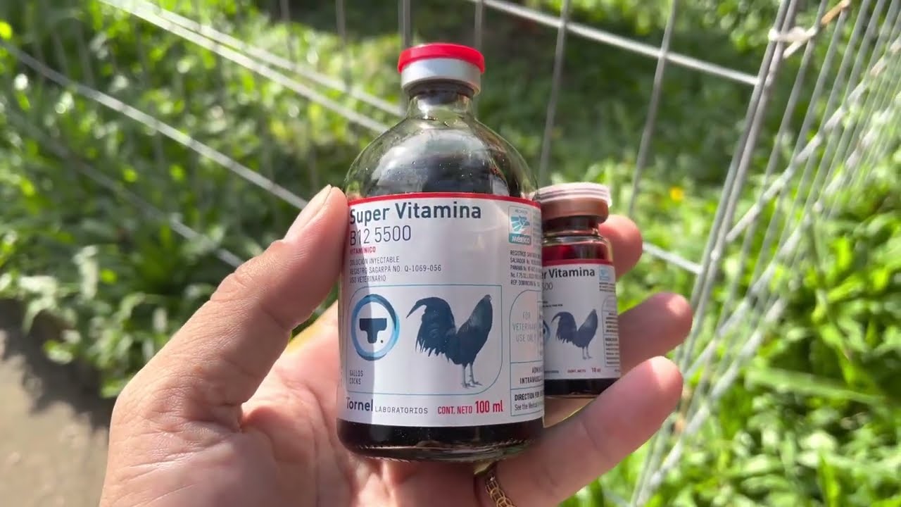 Alo c&oacute;c: 0708280814 -  Super Vitamina &hearts;️ B12 5500 - 200k/lọ 10ml (bao ship). Ae quan t&acirc;m ủng hộ