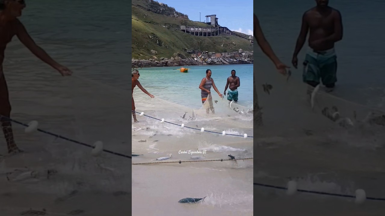 GREAT FISHING! Fartura de Bonito na Praia Grande em Arraial do Cabo RJ Brasil. 🇧🇷 #shorts​