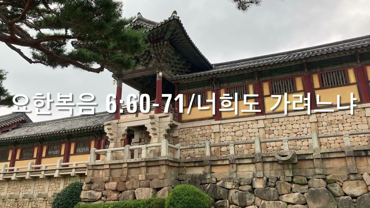 요한복음 6장 60-71절 / 너희도 가려느냐 / 생명의 말씀이 여기 있사오니 / 예수님을 떠나는 제자들 / 말씀이 어렵도다 / 매일성경 묵상 / 
