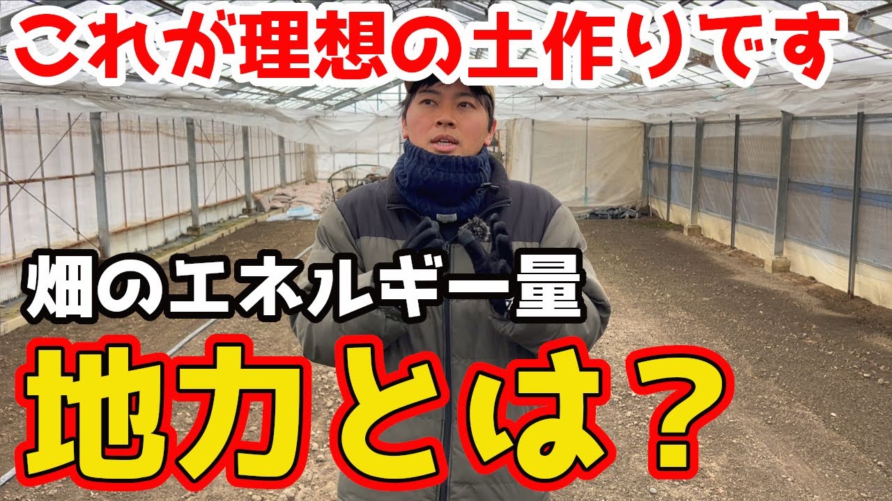 【超重要】寒い時こそやるべき！地力をあげる方法3つについてお話しします。【家庭菜園】