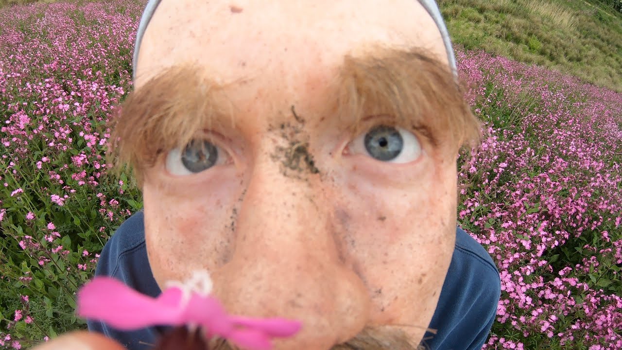 Jockstrap - 'Glasgow' (Official Video)