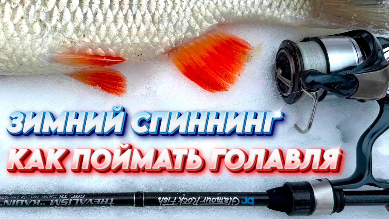 Первый ТРОФЕЙ 2026 взят!!! По сугробам за Голавлями! TrixBait 