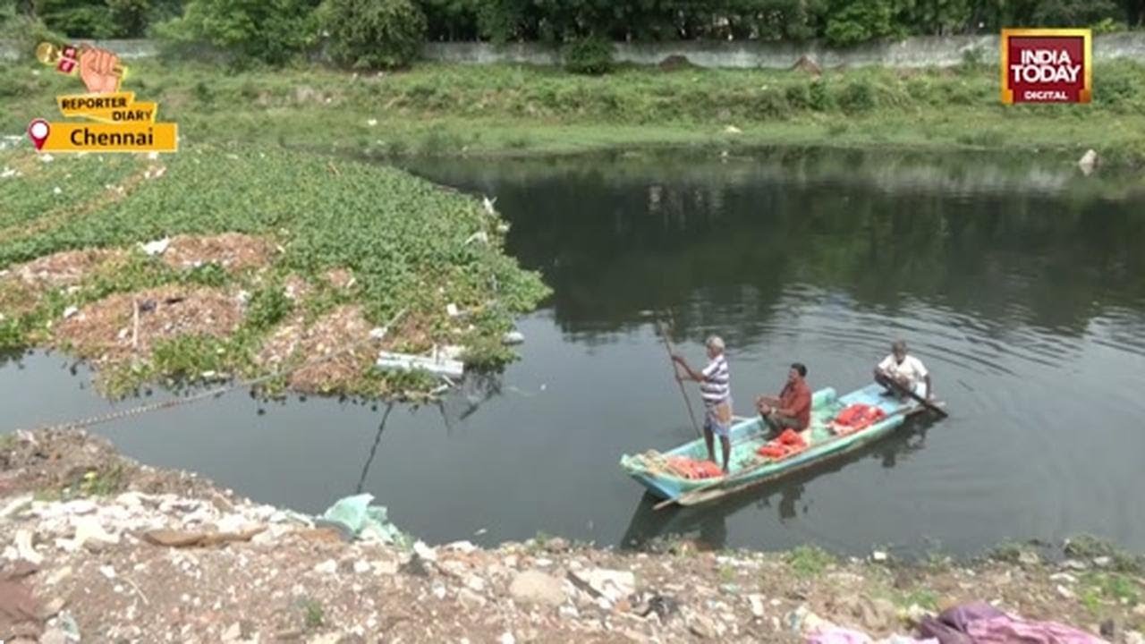 Cooum River cleanup: 'Passive device' collects floating debris using natural water flow