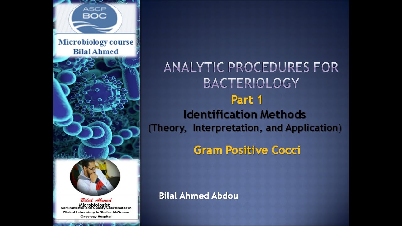 ASCP Microbiology Course ANALYTIC PROCEDURES in BACTERIOLOGY (Identification Methods Gram +ve Cocci