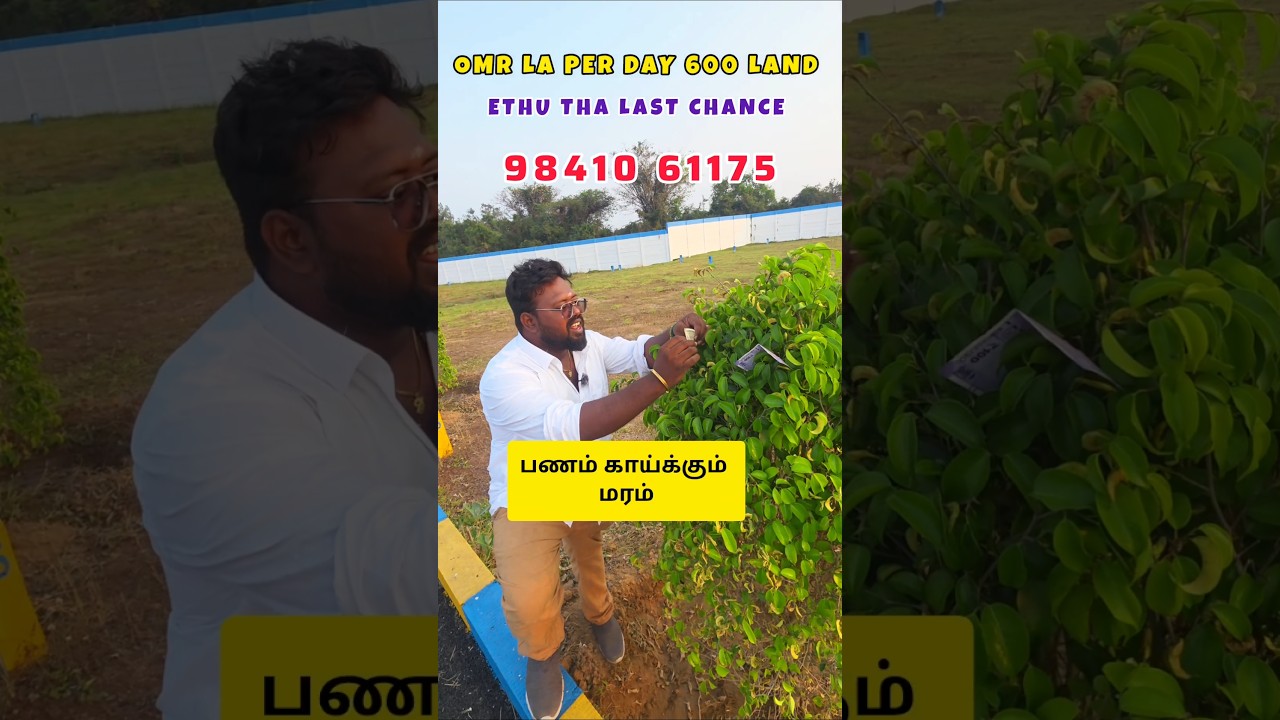 ethu tha last chance chennai OMR land vagurathuku #realestate #shorts