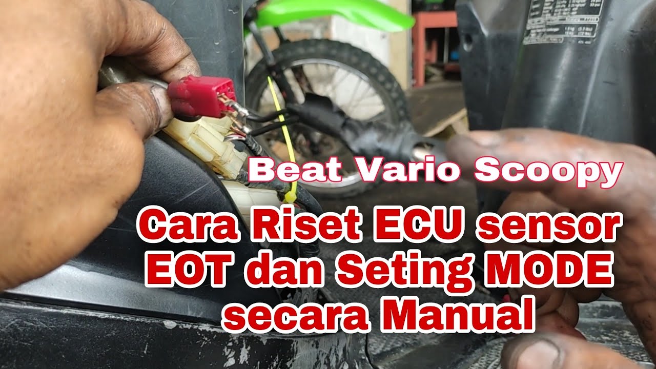 Cara Reset ECU dan Sensor EOT Beat Fi Manual