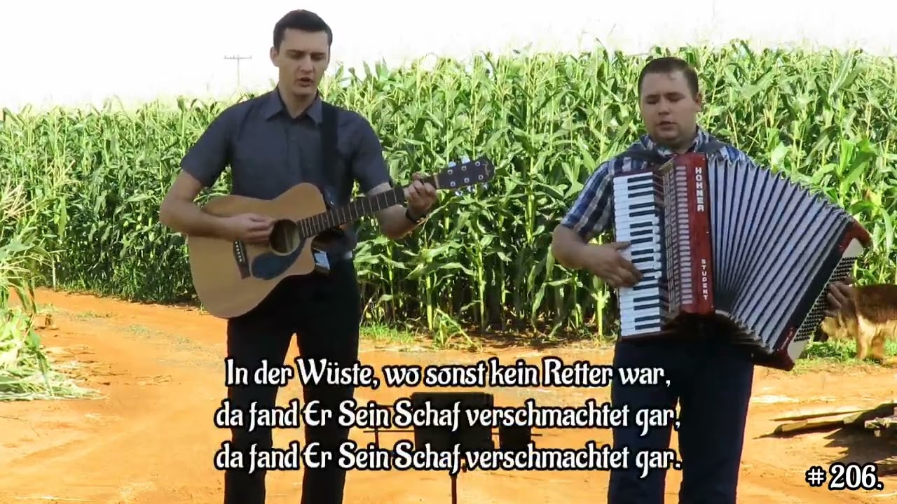 Neunundneunzig der Schafe