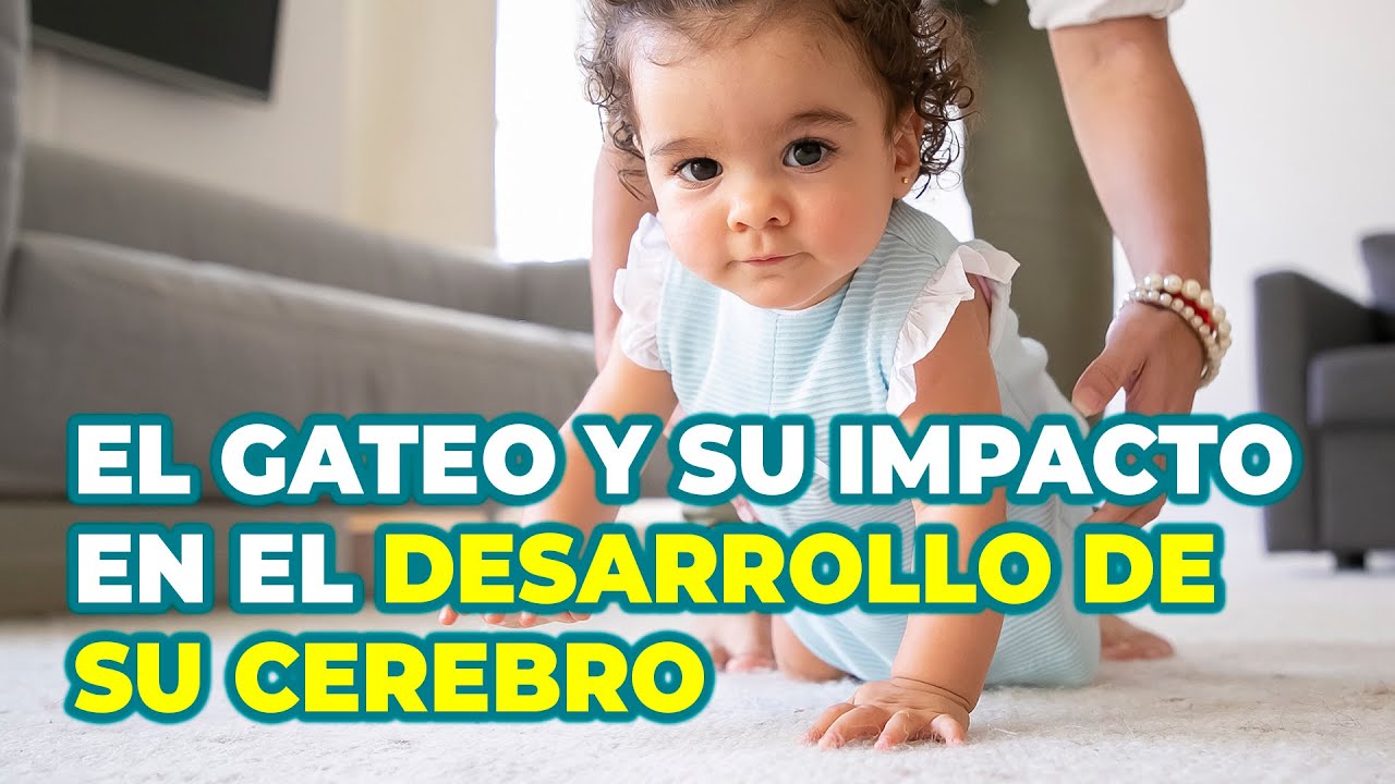 EL GATEO ¿ES IMPORTANTE PARA SU NEURODESARROLLO?