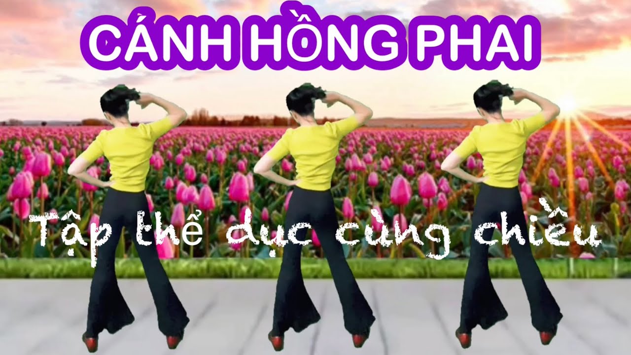 CÁNH HỒNG PHAI / THỂ DỤC GIẢM ĐAU MỎI / RẤT TỐT CHO SỨC KHOẺ