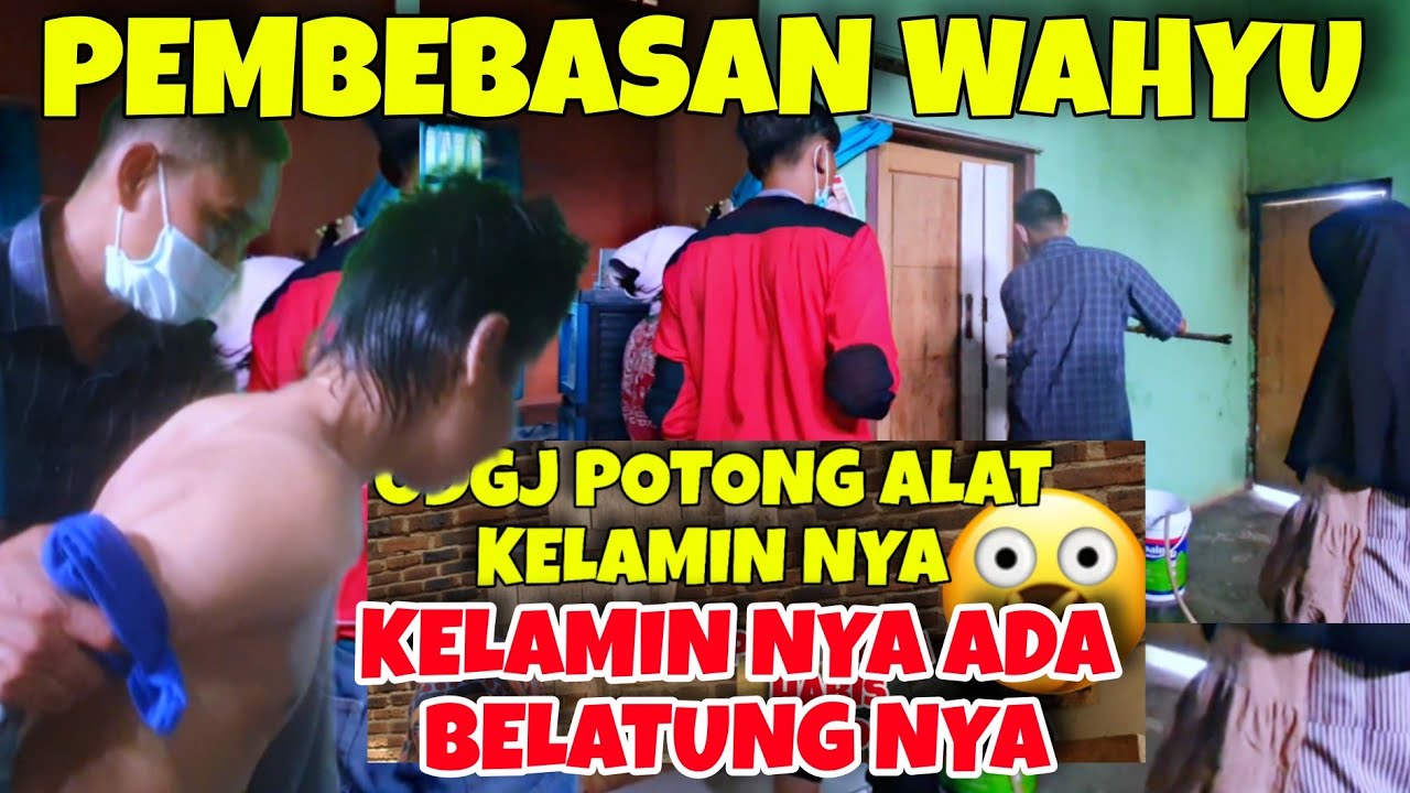 WAHYU PUTIH GANTENG❗Perjuangan Bawa Wahyu Berontak Mukul Bang Tadin 😱