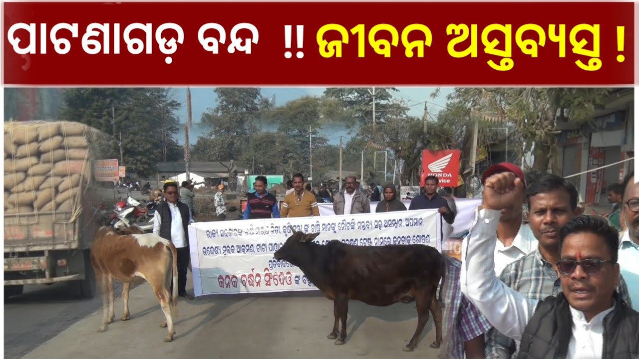 ୧୨ ଘଣ୍ଟିଆ ପାଟଣାଗଡ଼ ବନ୍ଦ ପ୍ରଭାବରେ ସହରର ଗତିଶୀଳ ଜୀବନ ଆଜି ସମ୍ପୂର୍ଣ୍ଣ ଥମି ଯାଇଛି | PATNAGARH | SATEJ TV |