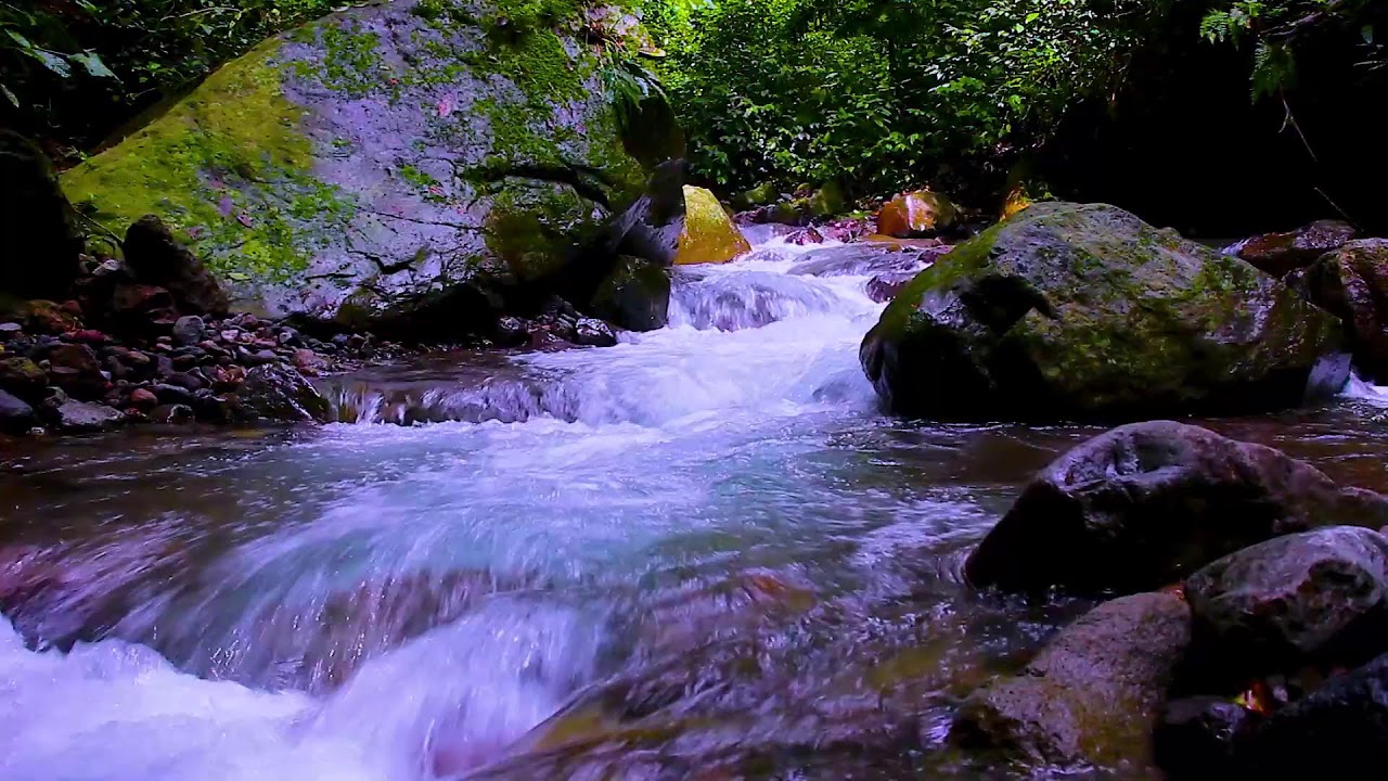 Distraction Free Focus with Gentle Mountain River Flowing Water Sounds