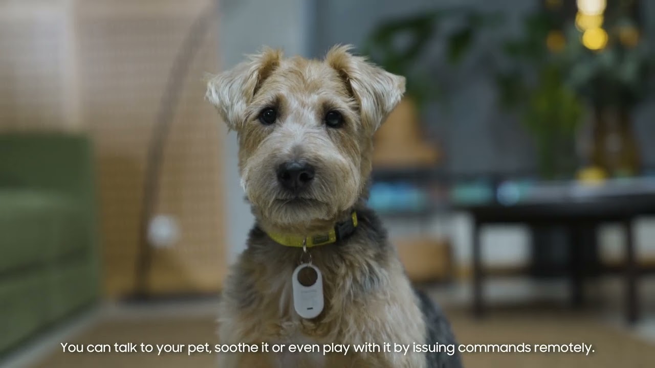 SmartThings: Pet Care – zdalna opieka nad zwierzakami! | Odc. 15
