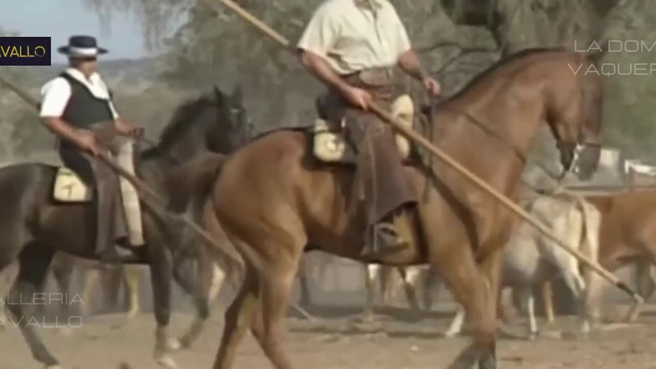 LA DOMA VAQUERA  ۞  SERIE VIDEO (1)