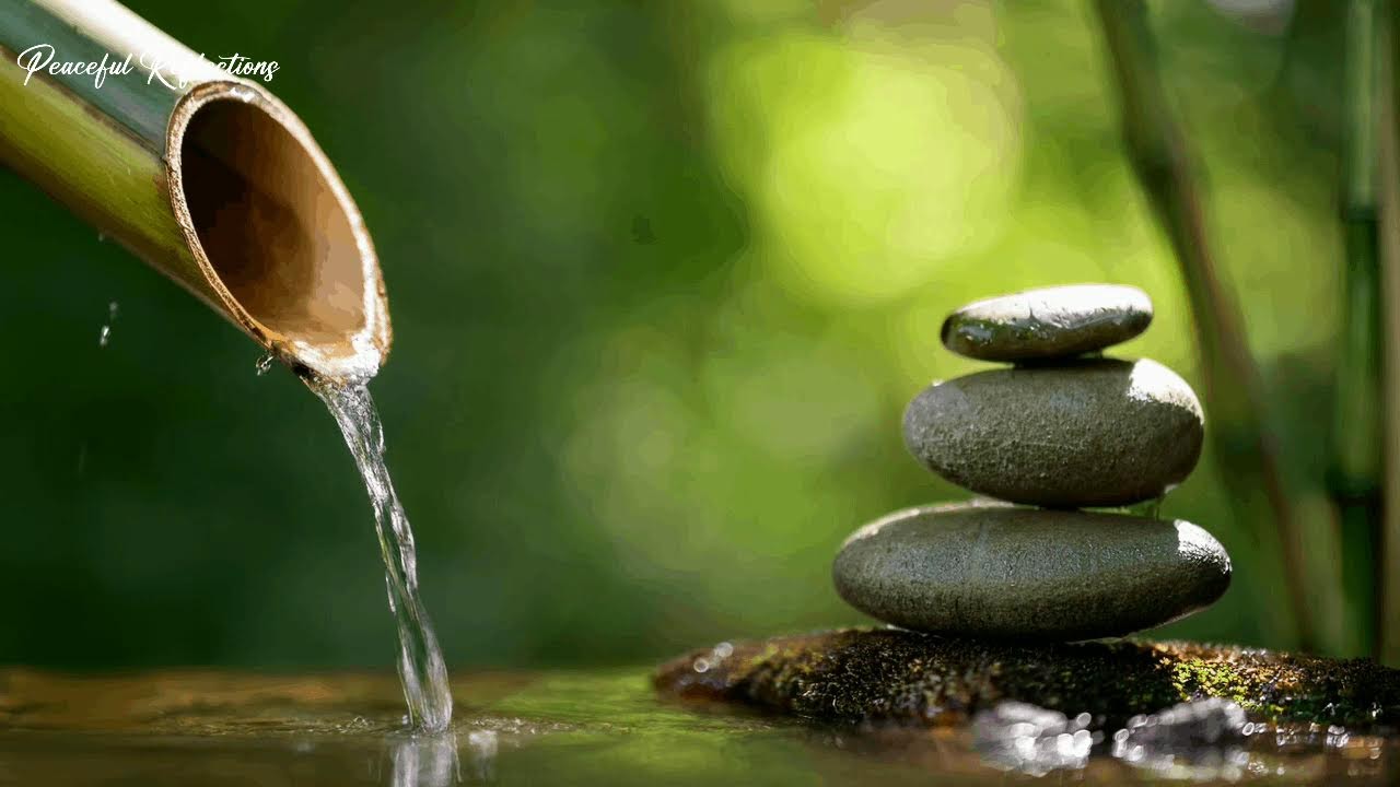 Linda música de piano - Música relaxante para dormir, estudar e relaxar, música calmante, bambu