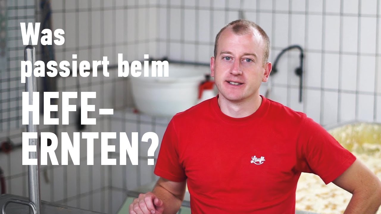 #fragdenbraumeister - Was passiert beim Hefe-Ernten?