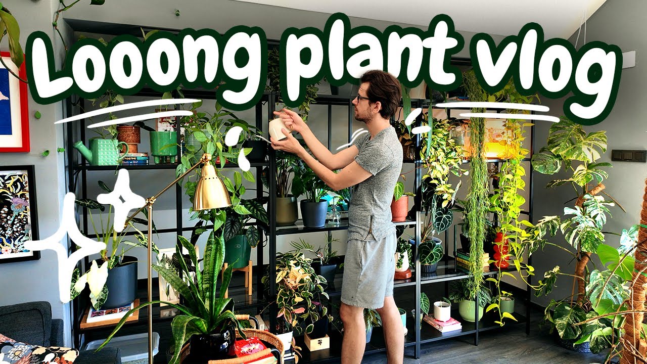 Taking Care of My Neglected Plants 🌿 Long Houseplant Vlog