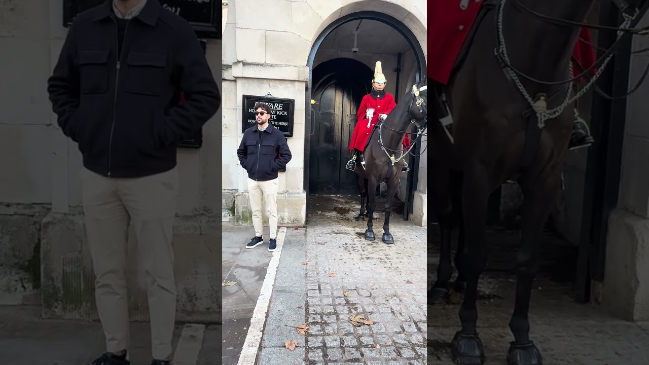 A Gentle Royal Horse Steals a Tourist’s Heart 