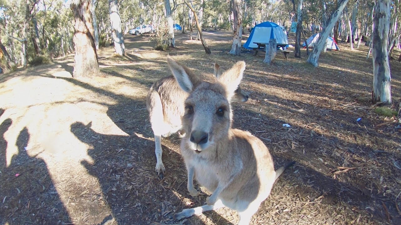 FAST LAPS | Australia