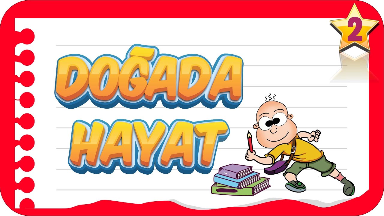 2. Sınıf Doğada Hayat | Birlikte Öğrenelim #Hayatbilgisi