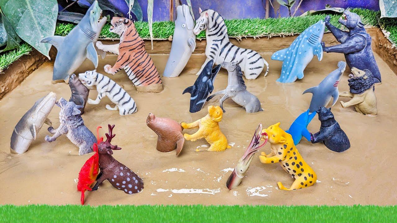 Wild Animals Vs Sea Animals Epic Mud Adventure in Mud Ground 🐳🐎💦 Kids Learning Video