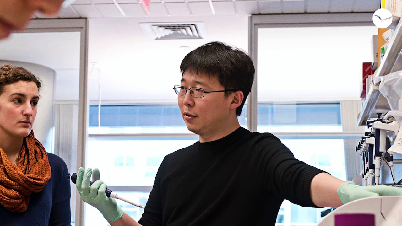 Inside the Lab: MIT/McGovern Institute | Rett Syndrome Research Trust