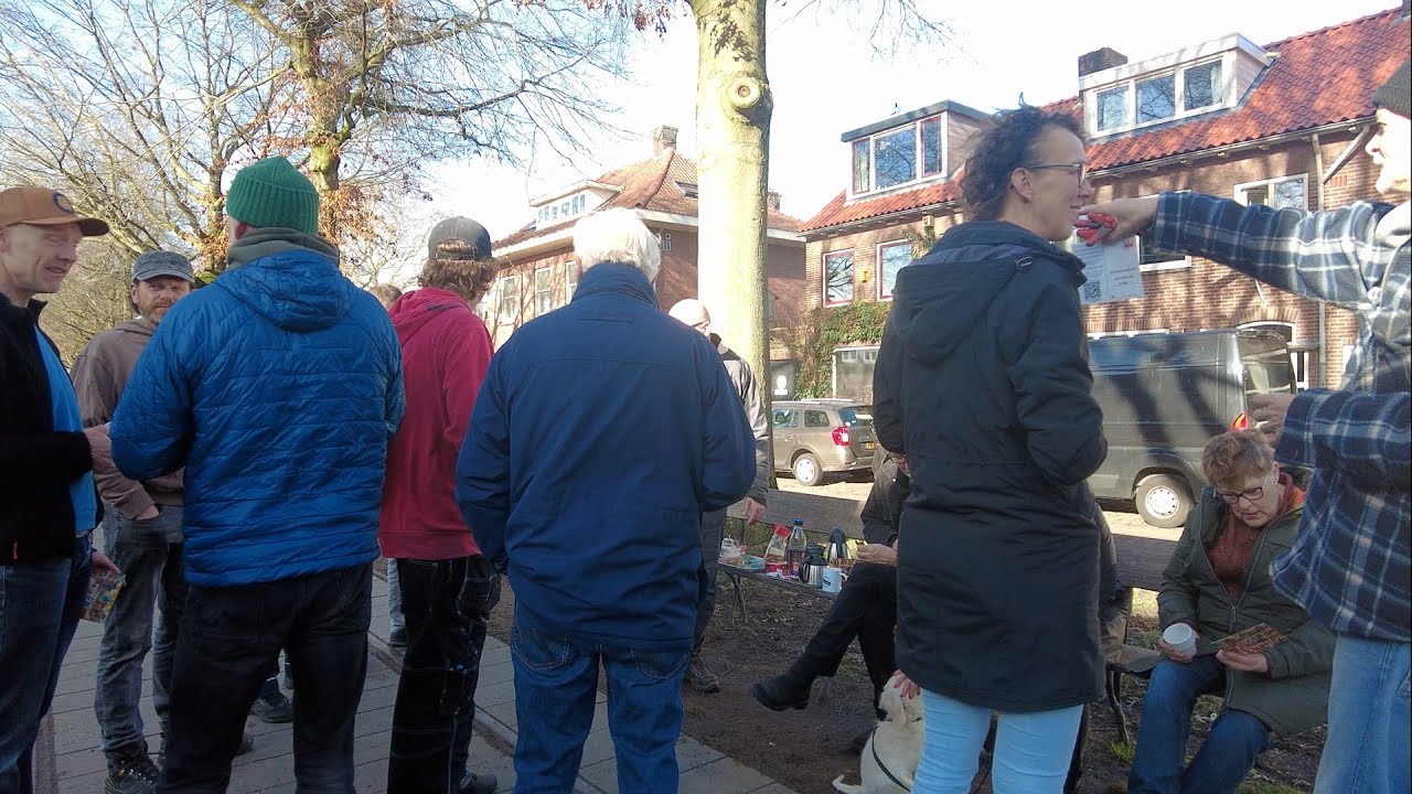 Lampjes uit de bomen