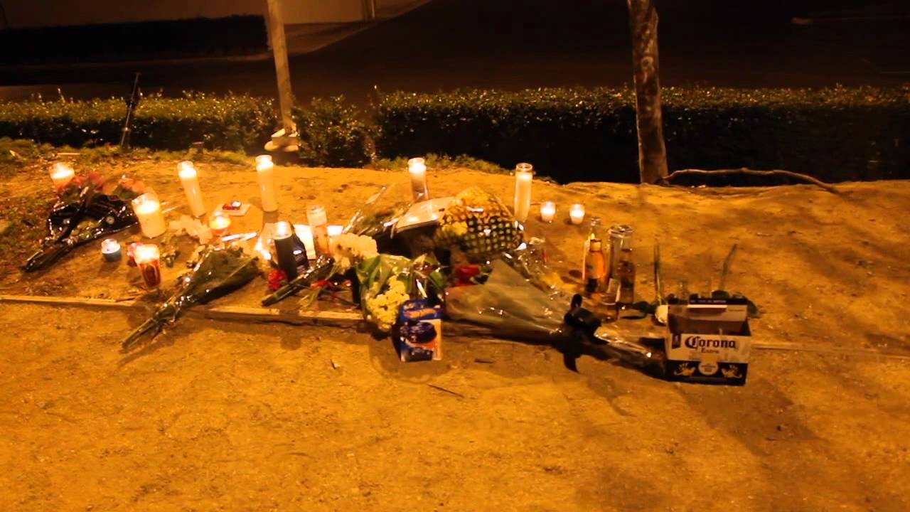 visiting Paul Walker's crash site / Nov. 30th 2015