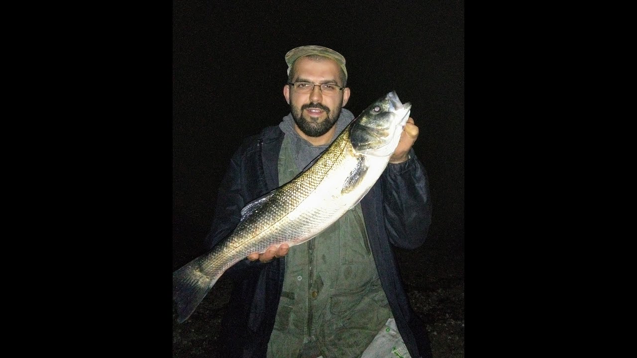 Wędkarstwo morskie. Sea Bass - jak łowić ?