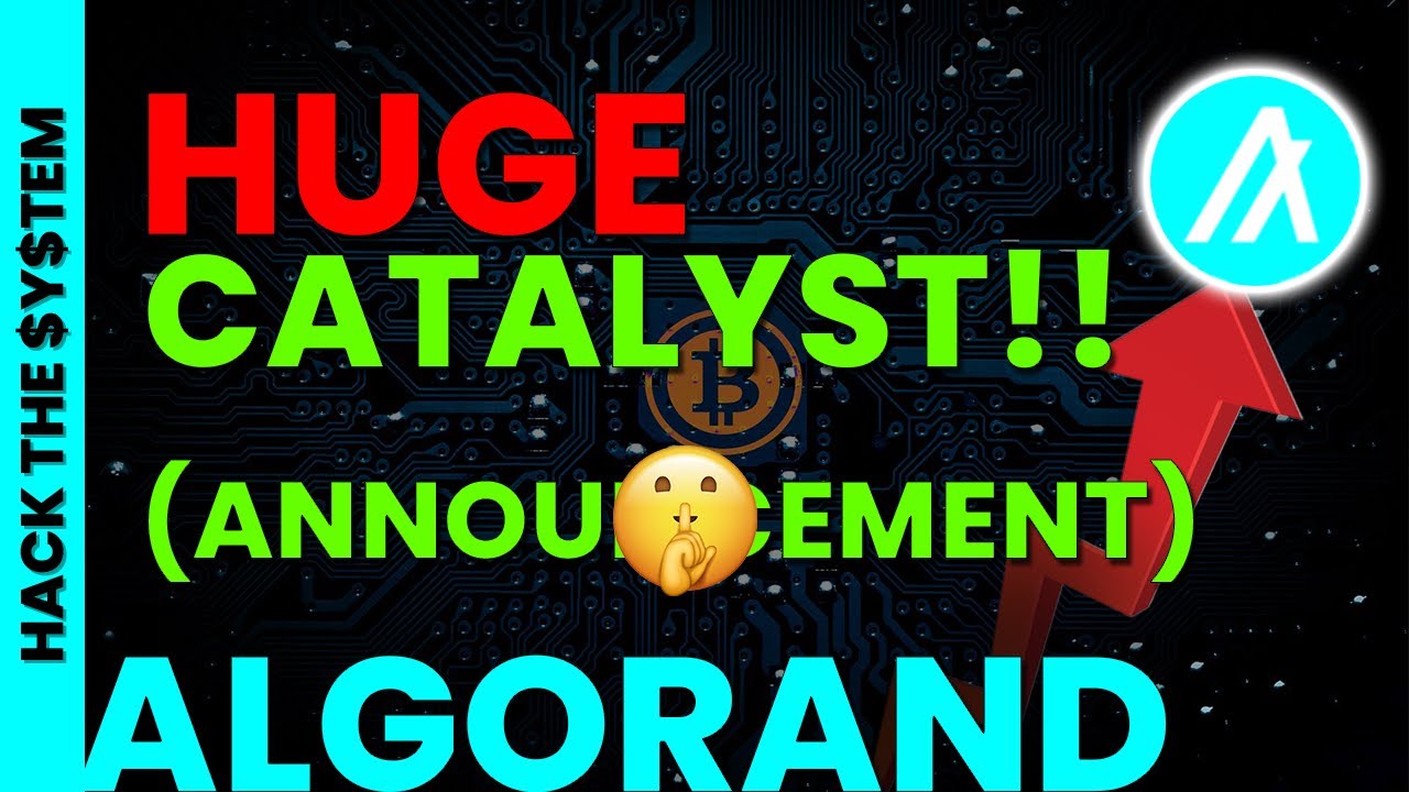 THIS is Historic Leap for $ALGO!! 💥👀 | Algorand Update #10