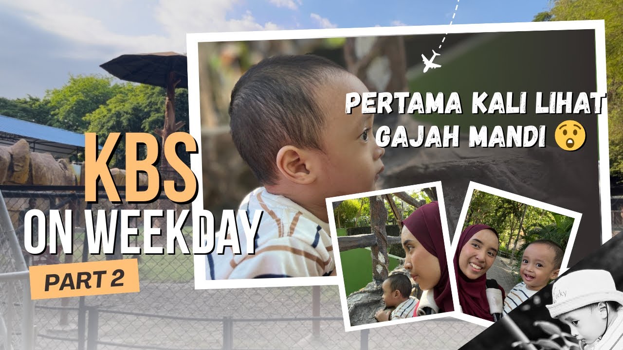 SERASA KEBUN BINATANG PRIBADI! Puas Banget Keliling KBS Pas Weekday 🐘✨