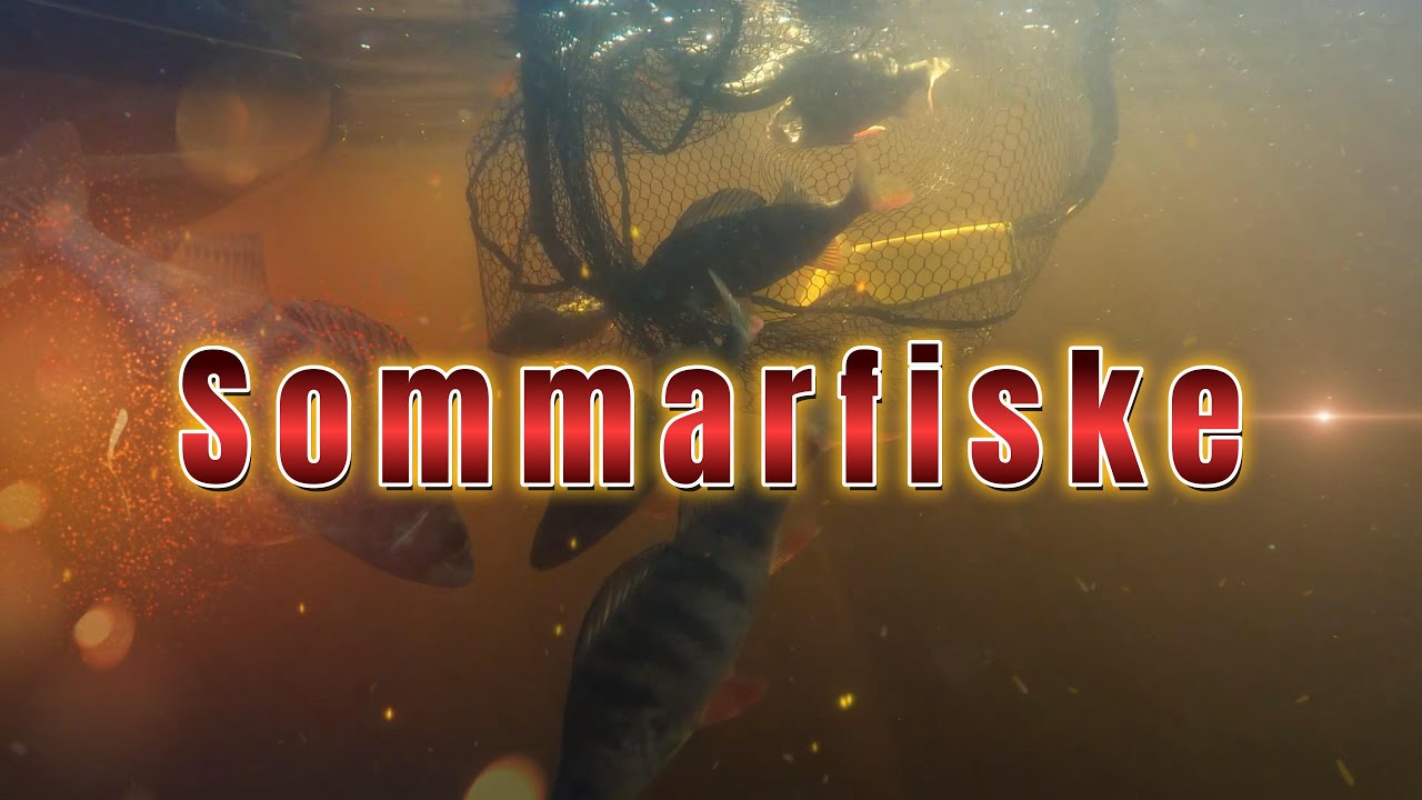 Sommarfiske - Abborre och?