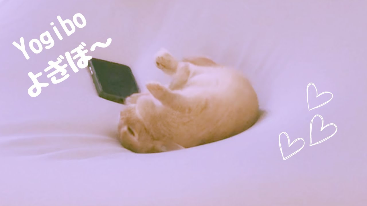 ヨギボーを使いこなすうさぎさん