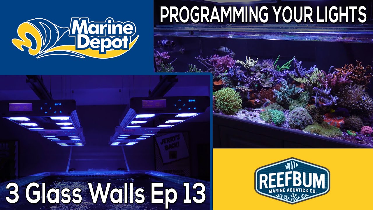 How to Setup Your Reef Lighting: 3 Glass Walls with Reefbum Part 13