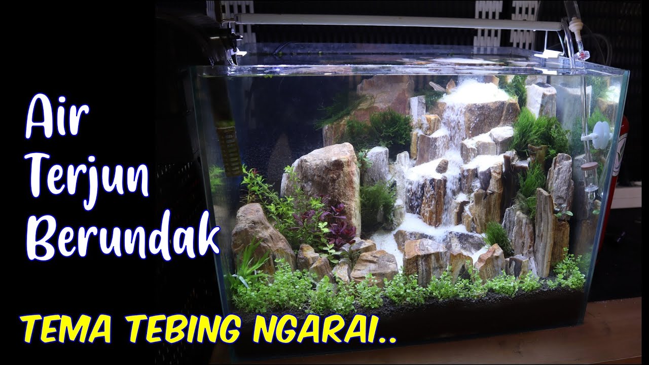 Setting Air Terjun Berundak Menggunakan batu Fosil  | Tema Tebing Ngarai/Canyon | Tank 40cm