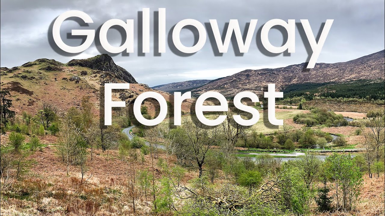 Galloway Forest Park Adria Van Adventure