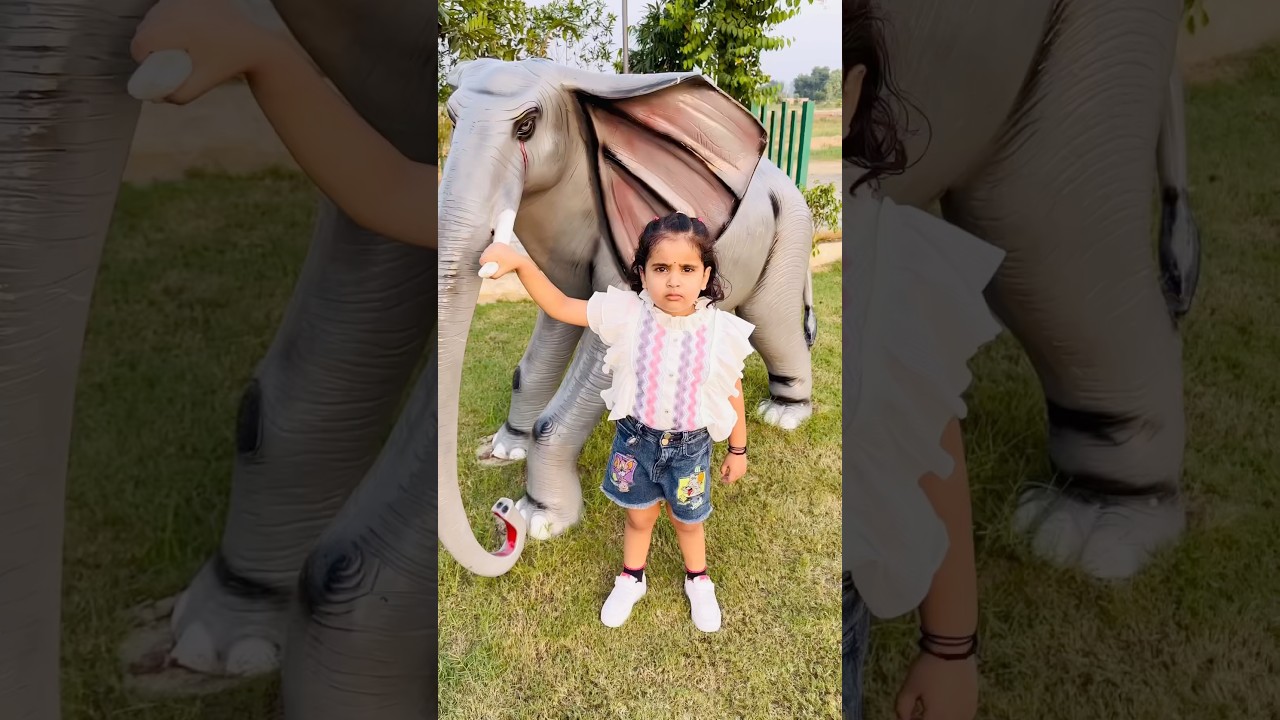 Anaya Or Papa Ne Ki Little Elephant Ki Help 🥺